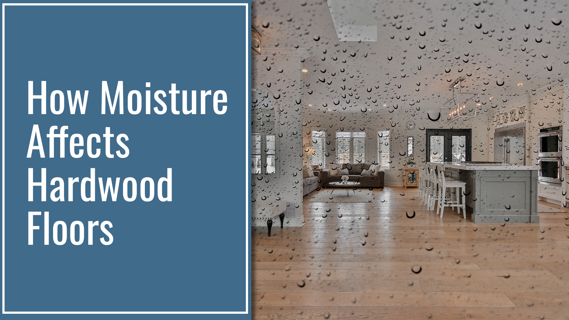 How Moisture Affects Hardwood Floors 